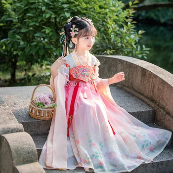 2023 Dinastiei Tang Hanfu De Vara Cu Maneci Scurte Tradițională Chineză Fete Zână De Seara De Lux Rochii Roz Copii Costum Cosplay