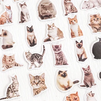 56 pachete cu ridicata pisoi Drăguț autocolant Cutie autocolant de desene animate de animale Auto-adeziv autocolant animale pisica autocolant