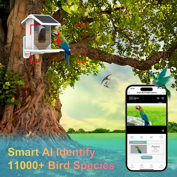 Alimentator de pasăre cu Camera,1080HD Casa de Pasăre Panou Solar Auto Capture Pasăre Video App Notifică Gratuit AI Identifica Specii de Păsări