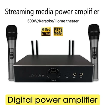 BT90S Streaming home theater karaoke de înaltă definiție, fără pierderi de decodare de mare putere 600w putere amplificator online songwatchingmovie