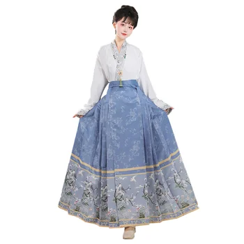 Noul Chineză Tradițională Hanfu Rochie pentru Femei Față de Cal Fusta Dinastiei Ming Haine Vintage Timp Florale Fusta Plisata