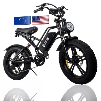 Ue Ne-Stoc Depozit bicicleta electrica 48v 750w 1000w Biciclete Electrice de Mare Viteză Motocicleta Electrica Grăsime de Anvelope Bicicleta